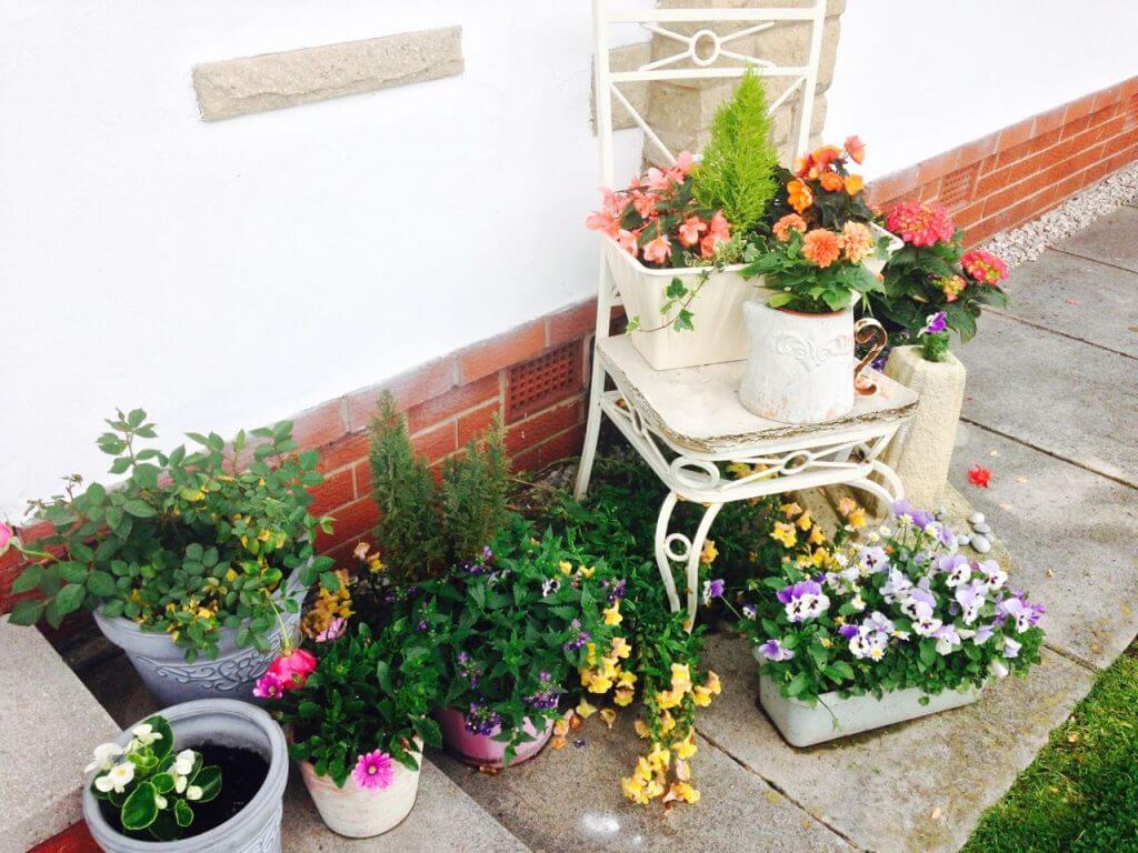 A selection of planted pots on a seat