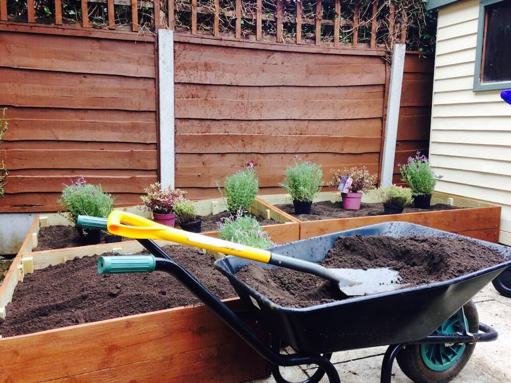 A wheel barrow with soil filling raised beds