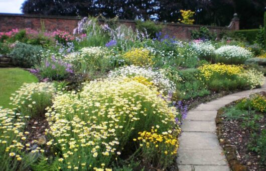 A full herbaceous garden bed