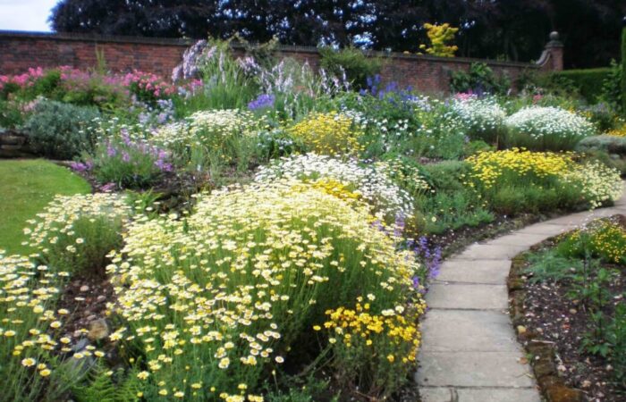 A full herbaceous garden bed