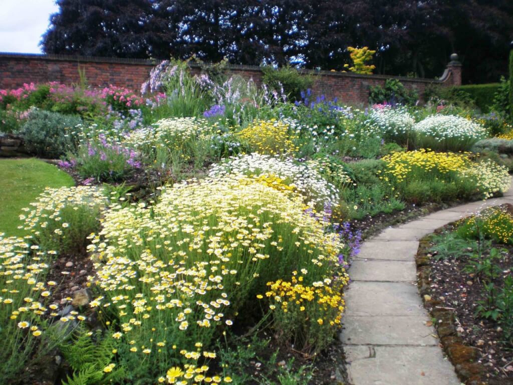 A full herbaceous garden bed