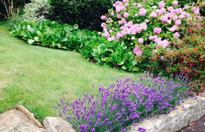 A sensory border and dry stone wall