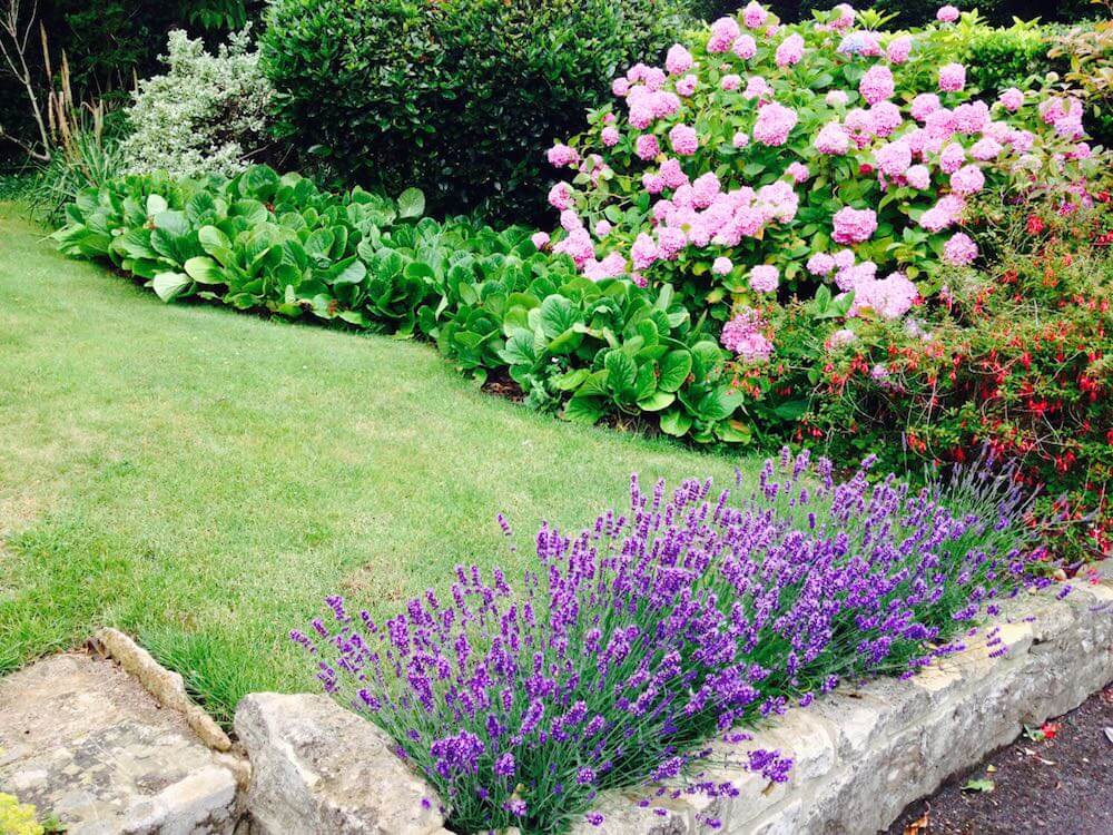 A sensory border and dry stone wall