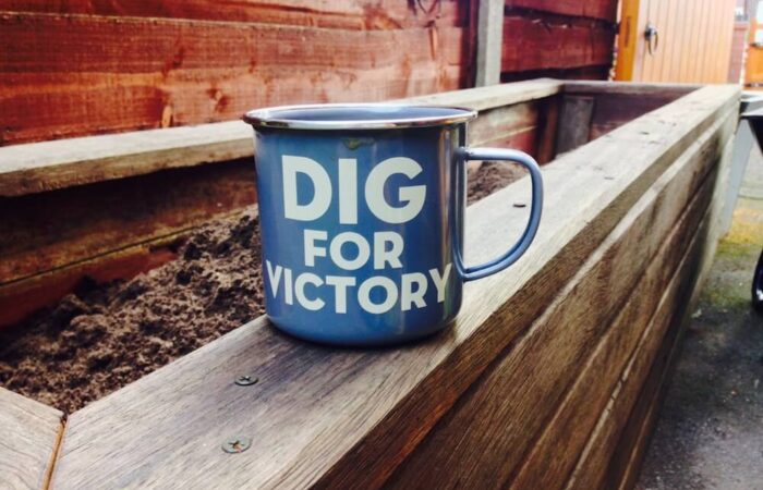 A mug with dig for victory on it