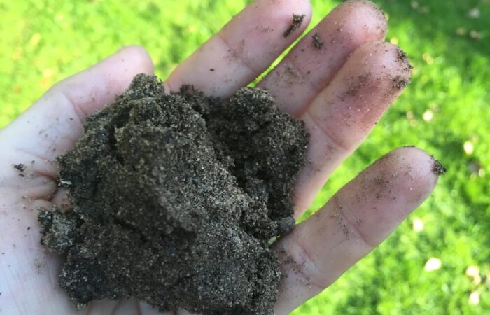 Garden Ninja holding out soil