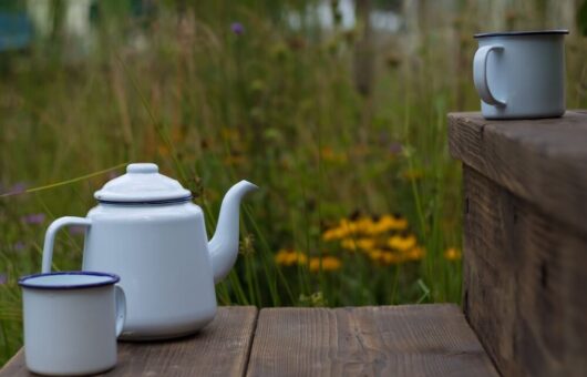 A retro tea pot on the Fancy a brew garden by Garden Ninja