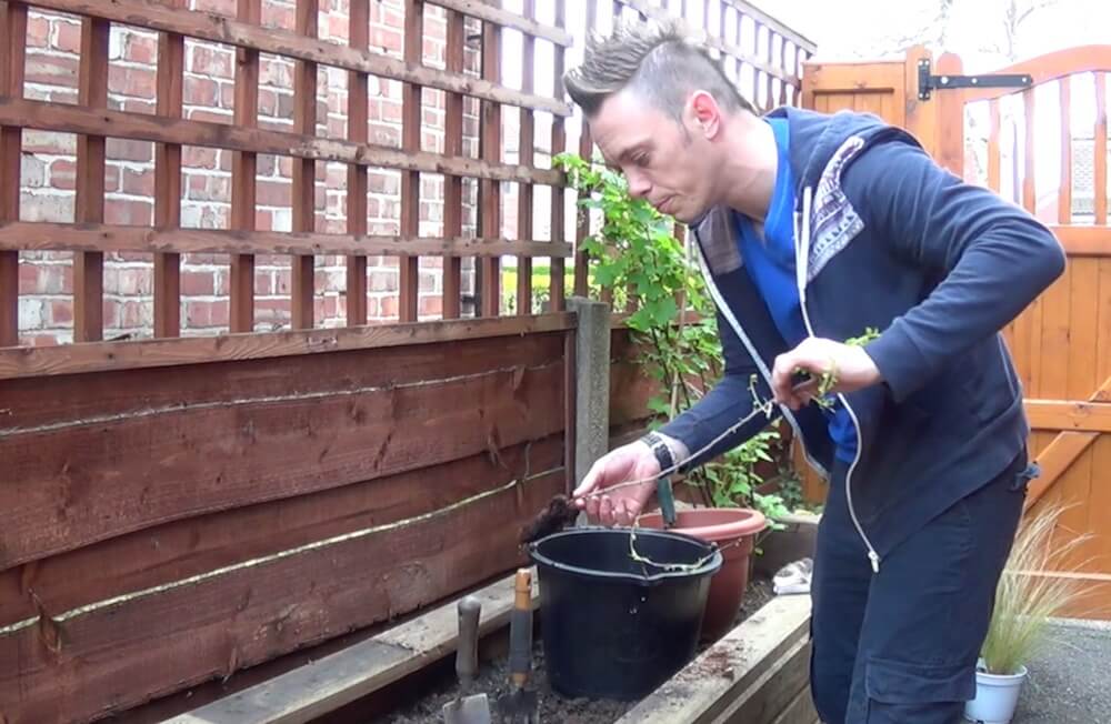 Garden Ninja explaining how to garden