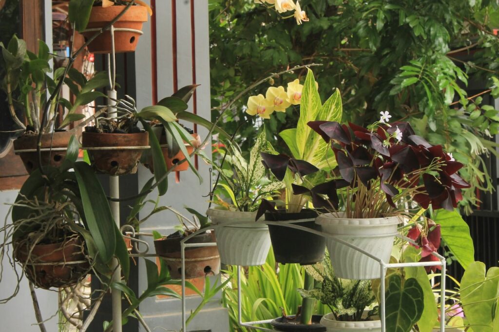 A selection of pots in a rental garden