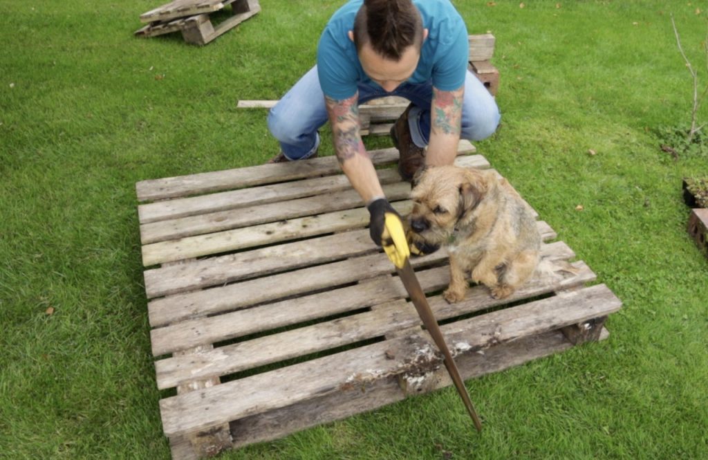 Cutting down a wooden pallet for a insect hotel