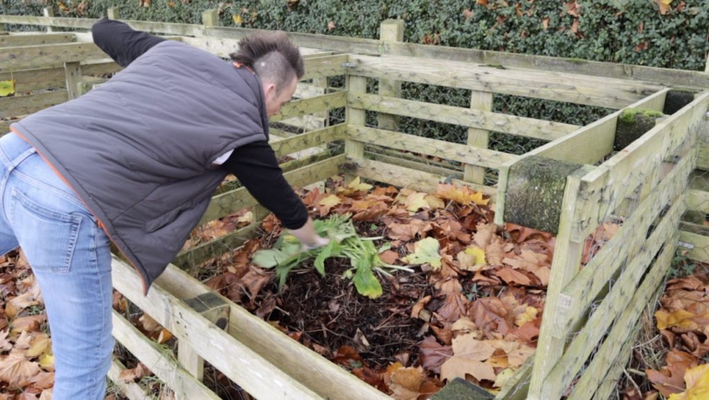 Recycling plants by composting