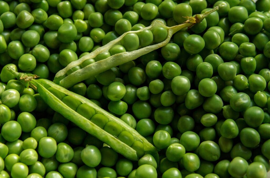 Garden pea tips