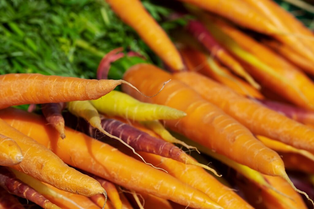 How to grow carrots