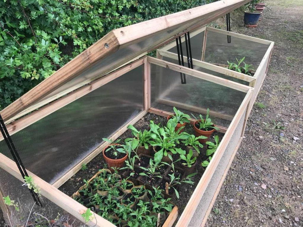 a set of cold frames with plants