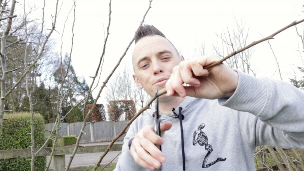 Lee Burkhill holding a pair of japanese secateurs