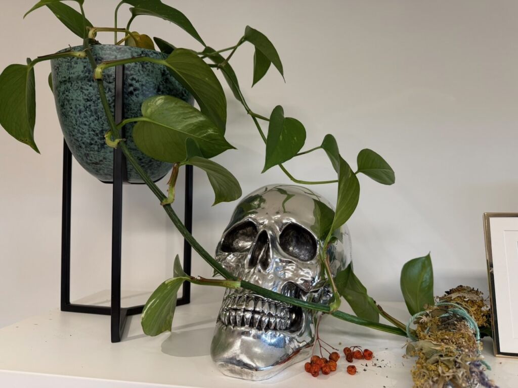 Plants for witchcraft