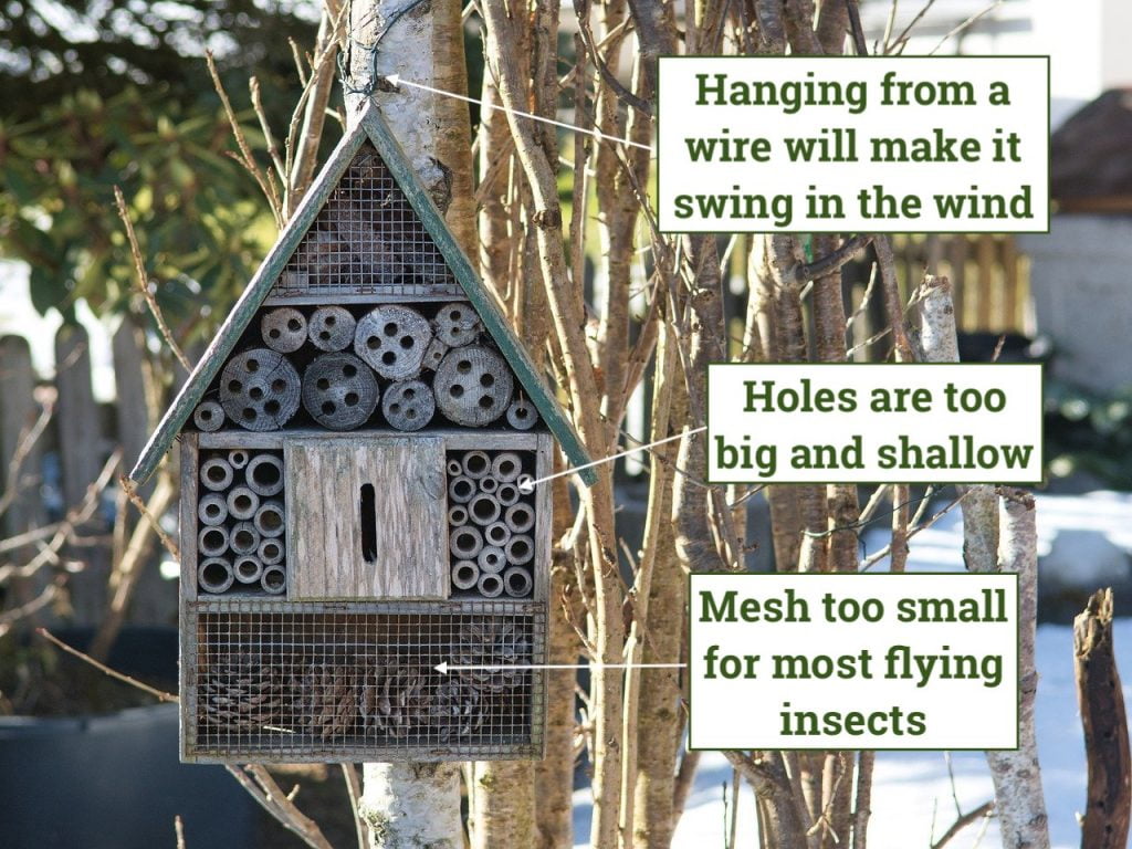 A shop bought bug hotel and its problems