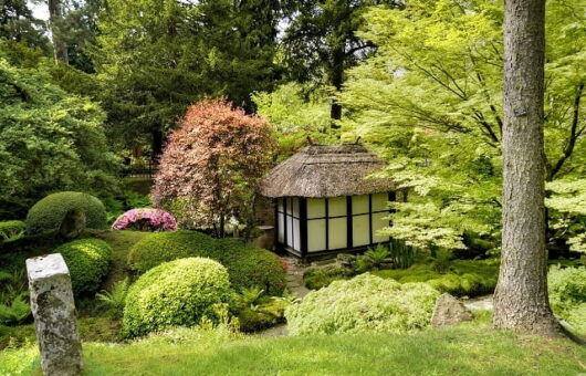 A Japanese themed garden in Manchester
