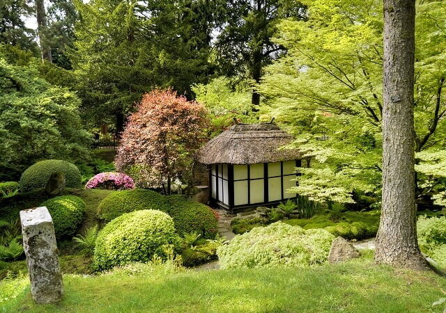 A Japanese themed garden in Manchester