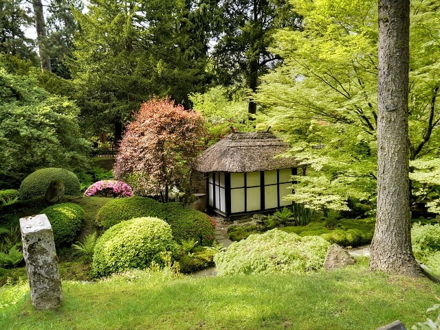 A Japanese themed garden in Manchester