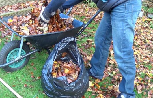 Garden Ninja putting leaves in a bag to make leaf mold