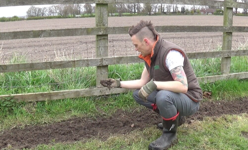 Garden Ninja digging a trench for a hedge