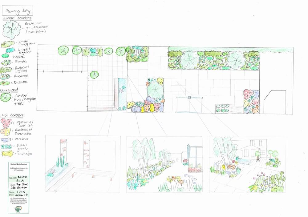 A hand drawn design for a dog friendly garden