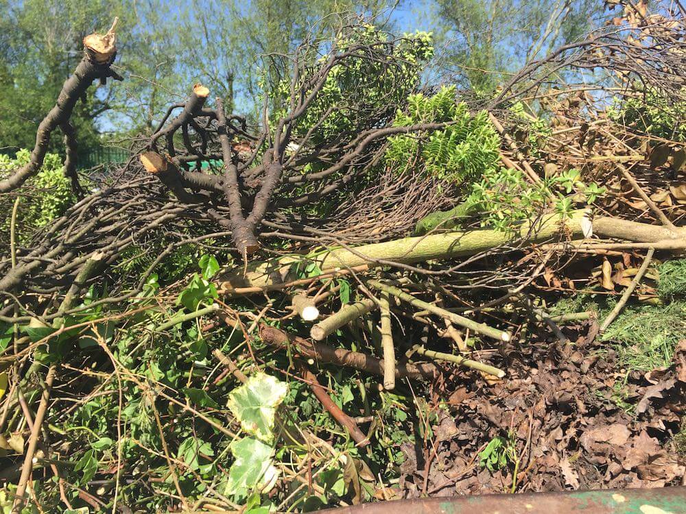 Garden debris all piled up