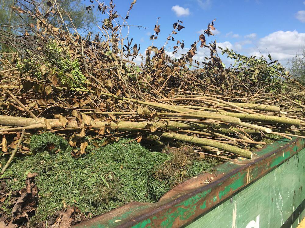 Branches in a council skip