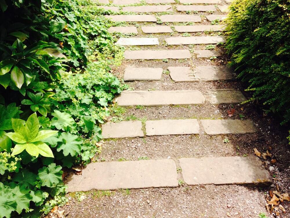 A set of stepping stones in garden