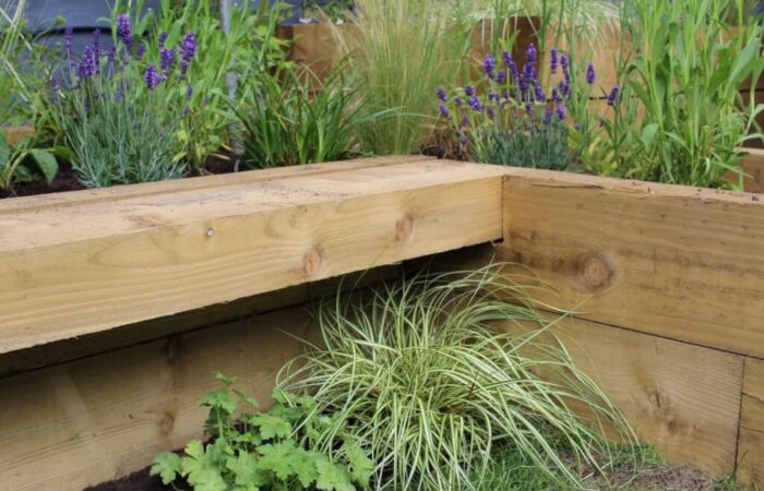 Raised bed in a garden with plants all around it from garden ninja