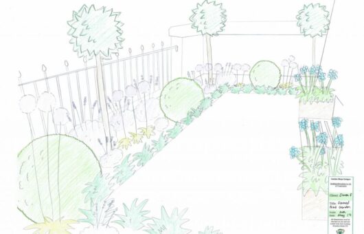 A hand drawn front garden design by award winning Lee Burkhill the Garden Ninja