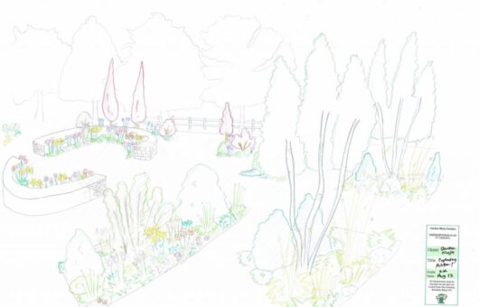 A hand drawn garden design render by Lee Burkhill the Garden Ninja