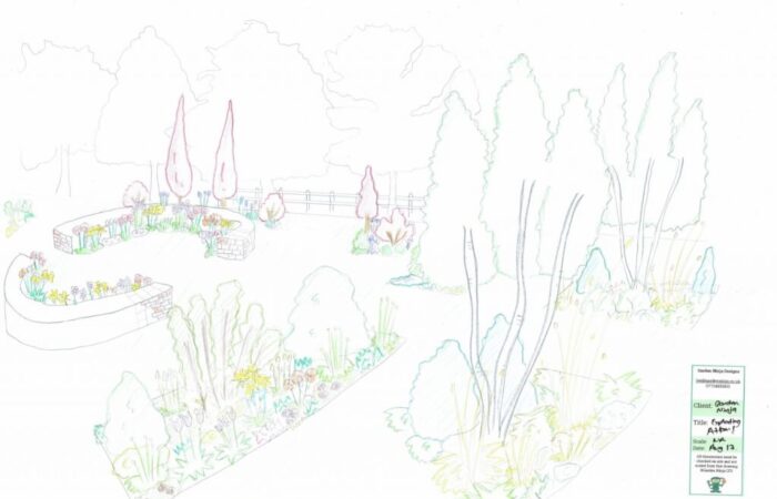A hand drawn garden design render by Lee Burkhill the Garden Ninja