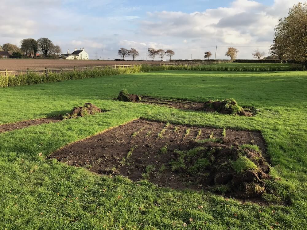 Newly stripped turf in the xploding atom garden