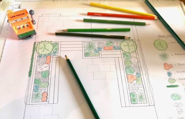 A hand drawn garden design with coloured pencils