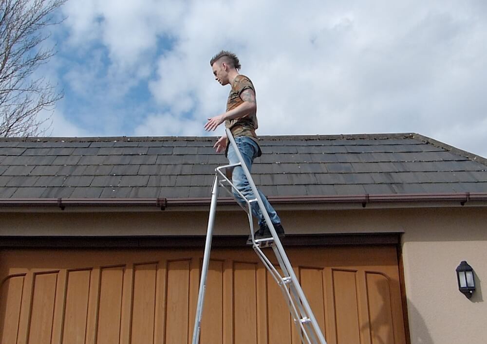 Garden blogger Lee Burkhill up a henchman ladder