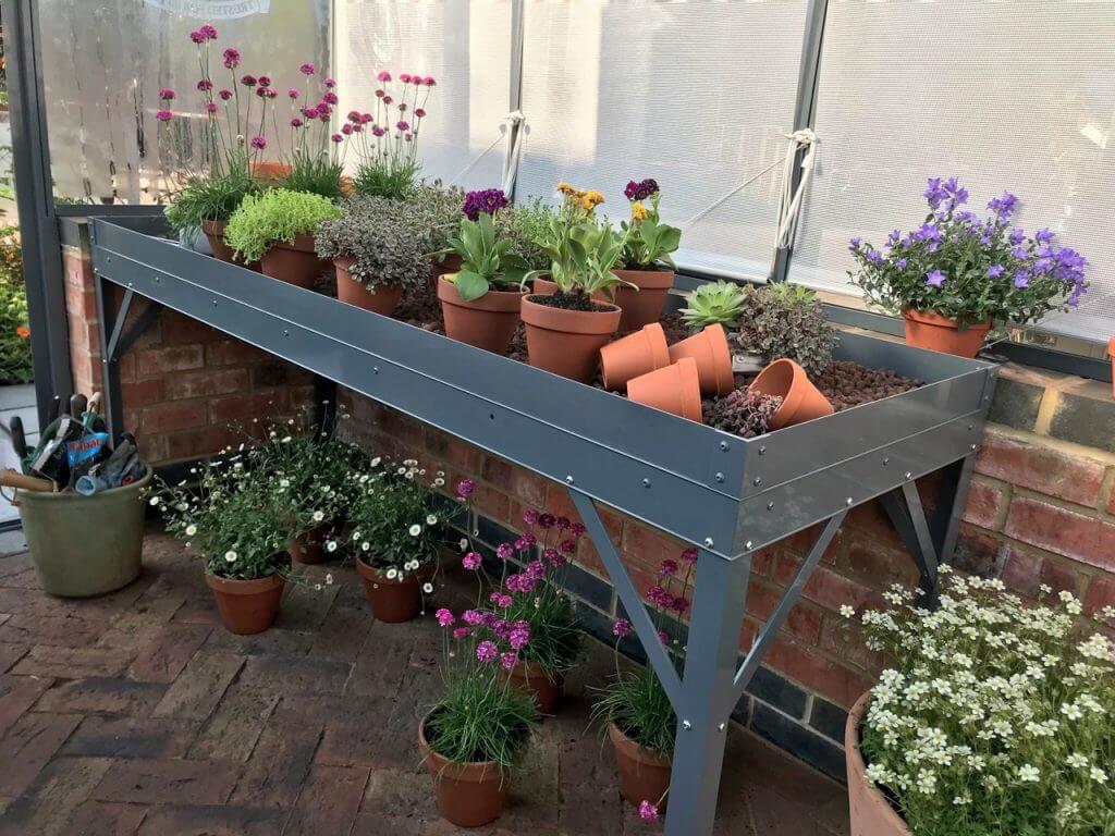Alpines in pots in an Alpine house