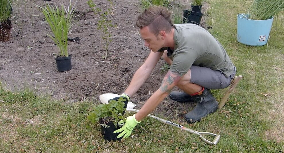 Garden Blogger Lee Burkhill picking up a plant