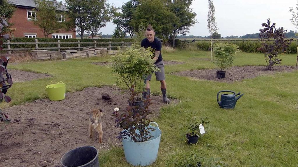 Planting up shrubs in a garden