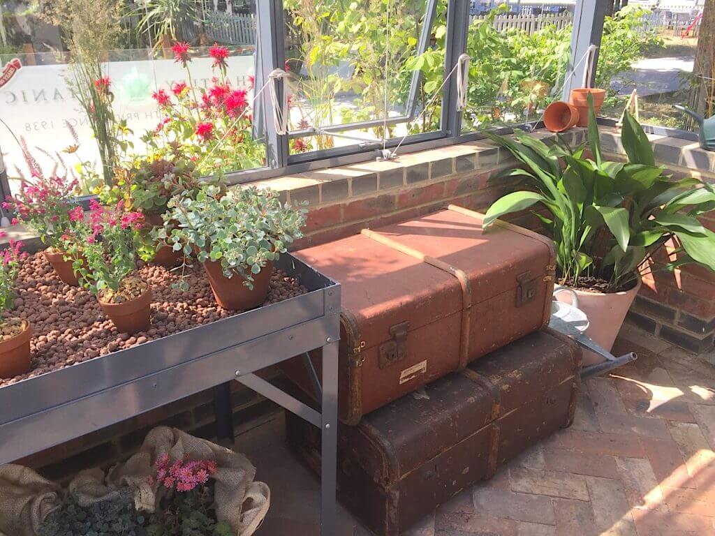 Old trunk in a glasshouse