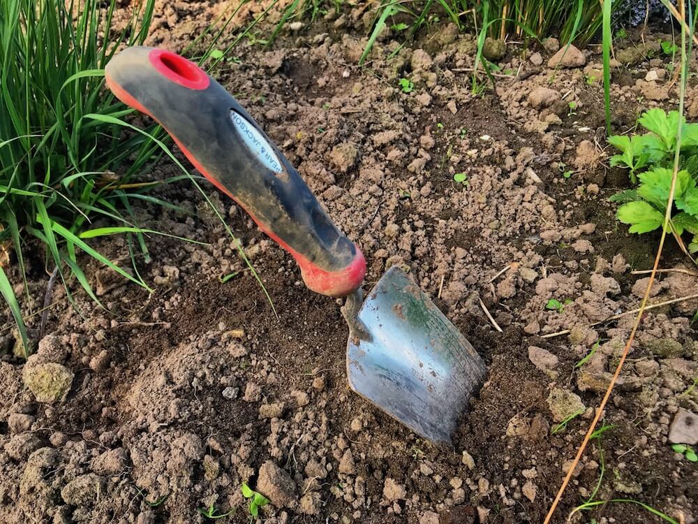 Garden trowel in the ground