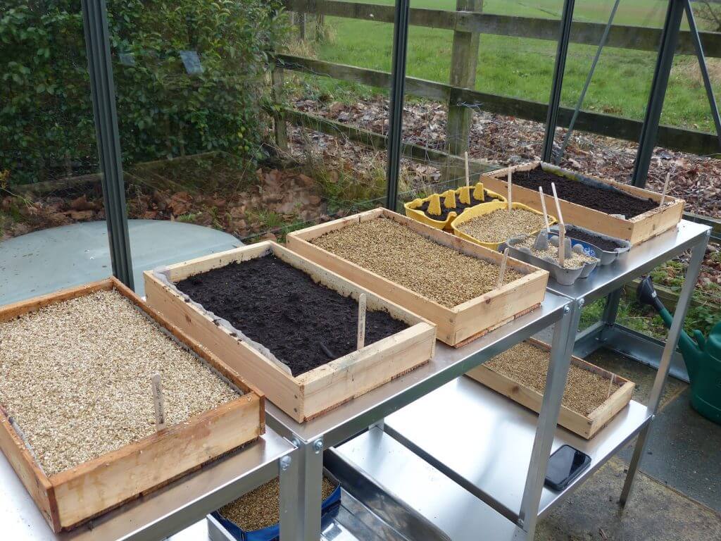 Newly sown garden seed trays without using plastic