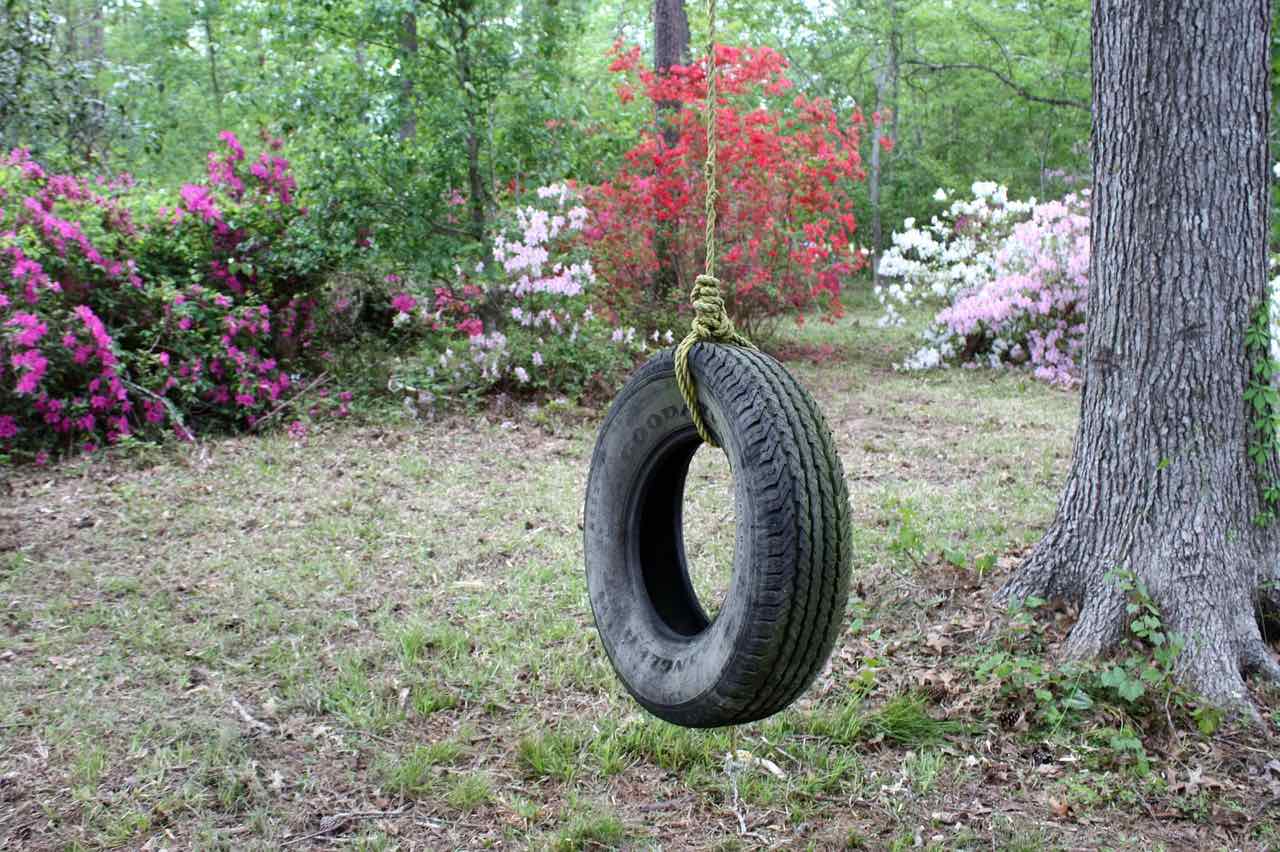 A tyre hanging from a tree