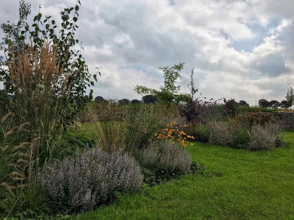 The exploding atom garden with eye hooks to beech trees