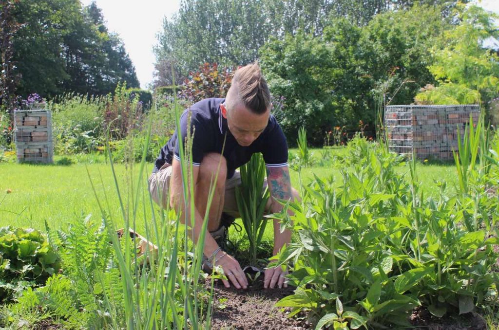 Garden Ninja plants up the exploding atom garden