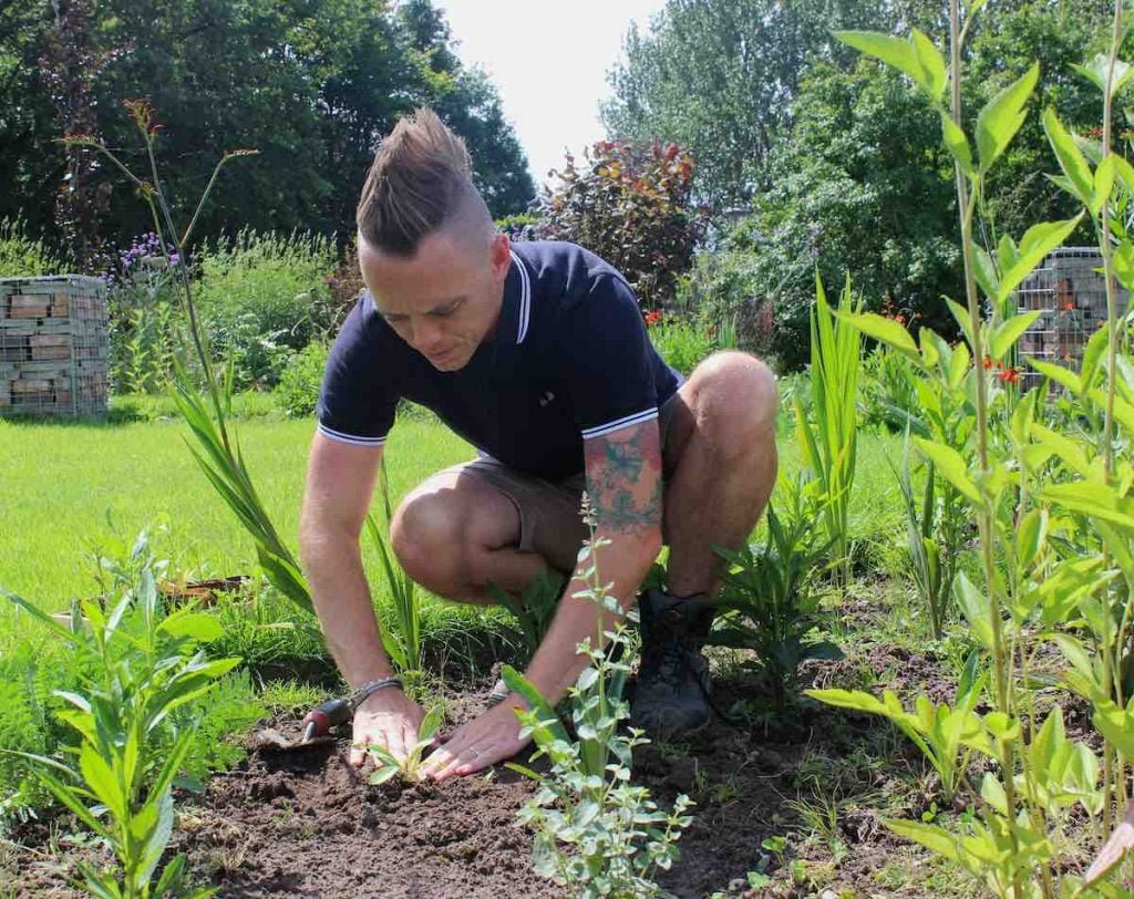 Plant spacing in the garden