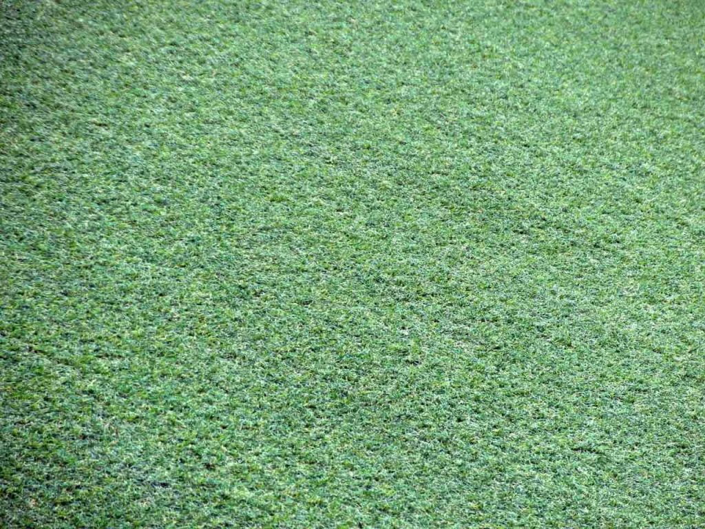 Green artificial turf