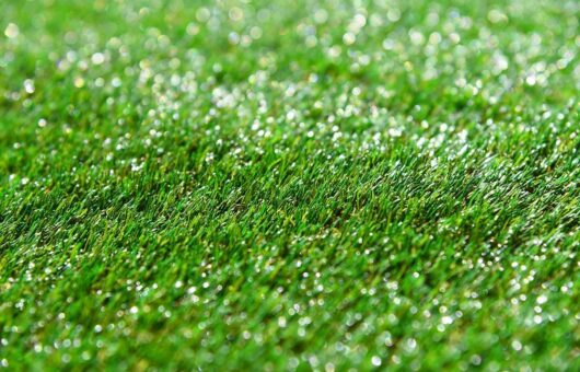 Fake artificial grass shining in light