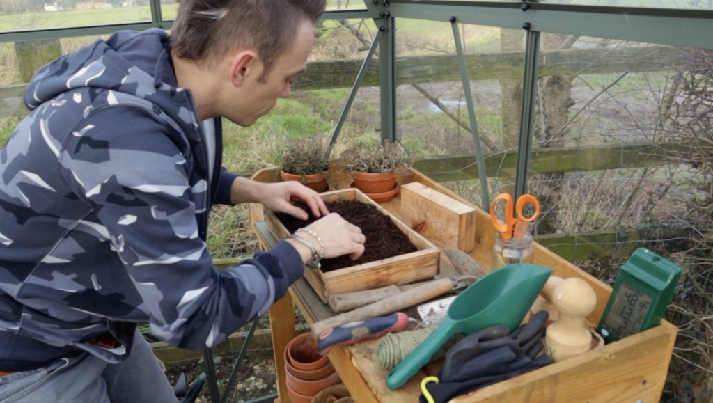 Garden Ninja stratifying seeds