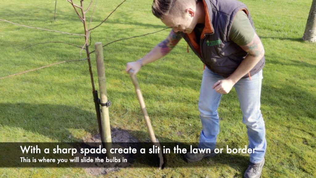 Lee Burkhill planting a bulb